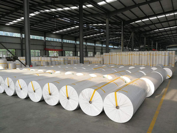 月湖狭缝式涤纶纺粘无纺布